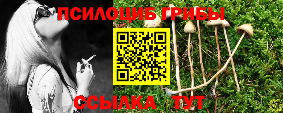 Галлюциногенные грибы GOLDEN TEACHER  Вход с VPN  Железноводск  Галлюциногенные грибы Psilocybe 