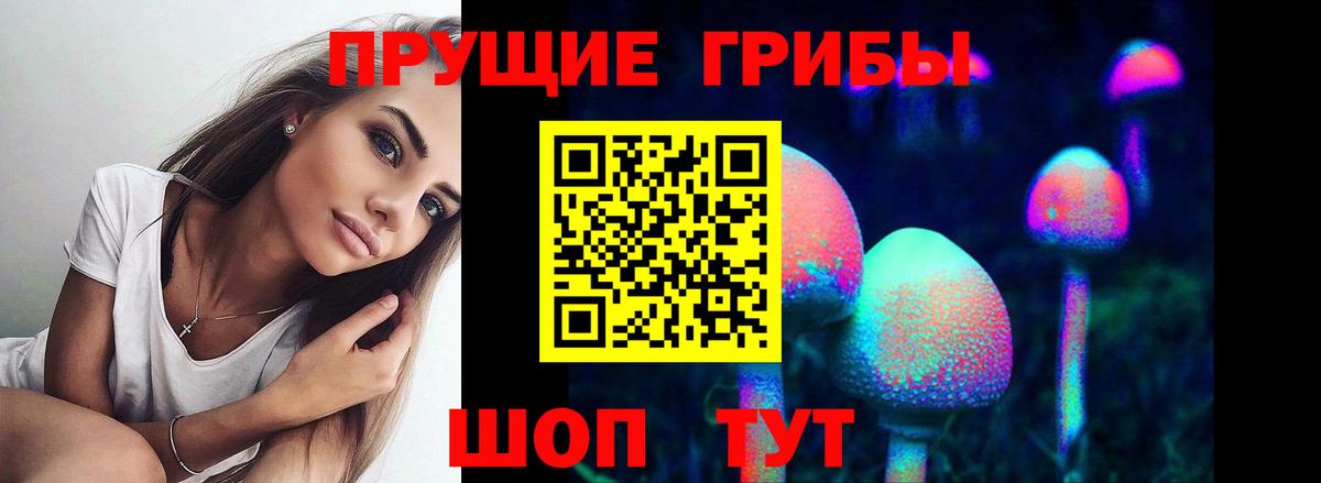 Галлюциногенные грибы MAGIC MUSHROOMS Железноводск